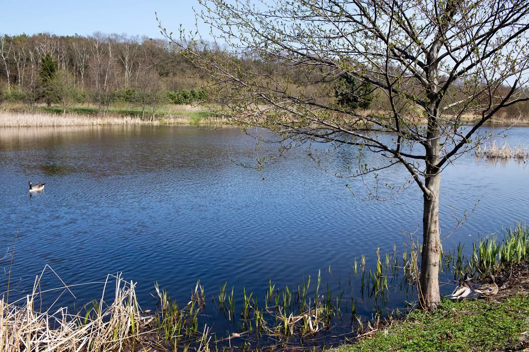 President Ronald Reagan Park